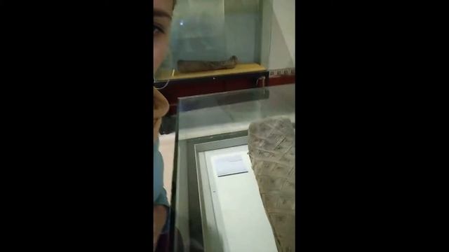 Египет, Пирамиды, Квадроциклы, дайвинг в Красном море и контрастный Каир а также Национальный музей смотреть онлайн