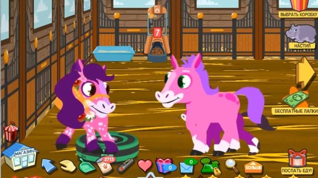 Обзор игры Happy Pets!