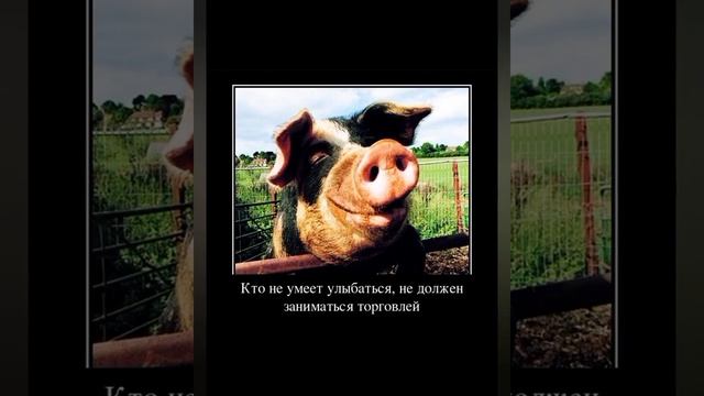 Очень приятно Царь приколы с озвучкой ? смотреть онлайн