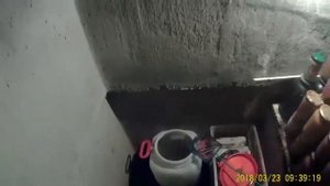как сохранить живца зимой