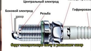 акрофикус220910.mp4