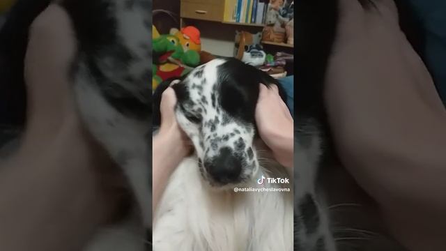 О, нормально!...)))