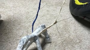 DIY Shoulder Dragon