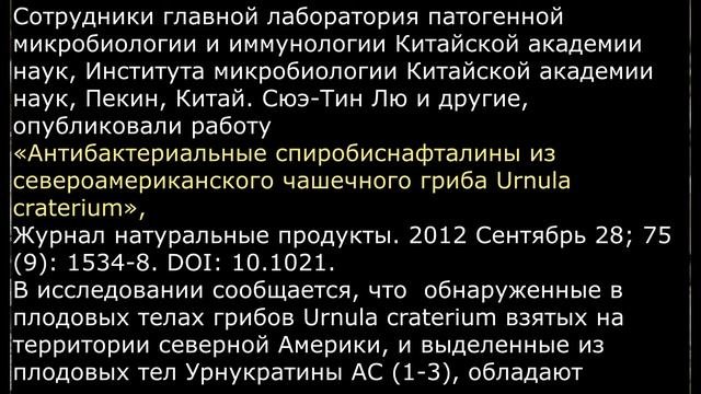 Урнула бокальчатая Urnula Craterium Описание Съедобность Видео определитель Лечебные свойства