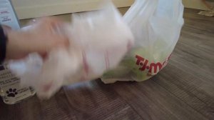 ЧТО КУПИТЬ ЩЕНКУ НА ПЕРВОЕ ВРЕМЯ? ПОДГОТОВКА. ЧАСТЬ 3