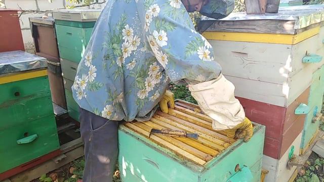 Пчеловодство, Где Мед???? смотреть онлайн