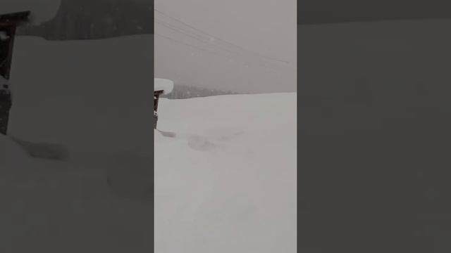 18 Января 2020года было много снега ВКО Зимавьё. смотреть онлайн