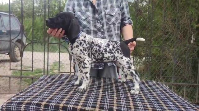 Норисс фром Грин Вэлли смотреть онлайн