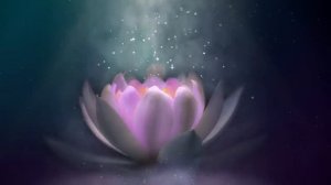 Spiritual Awakening, Day 7, Unconditional Love, 852Hz, Raise Your Energy Vibration, Third Eye