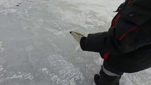 ПОПАЛИ НА РАЗДАЧУ ОЧЕНЬ МЕЛКОГО ОКУНЯ, РЫБАЛКА НА МАРОПЕДКИ.