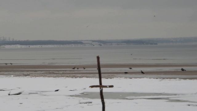 ЛАЭС (Ленинградская атомная электростанция)