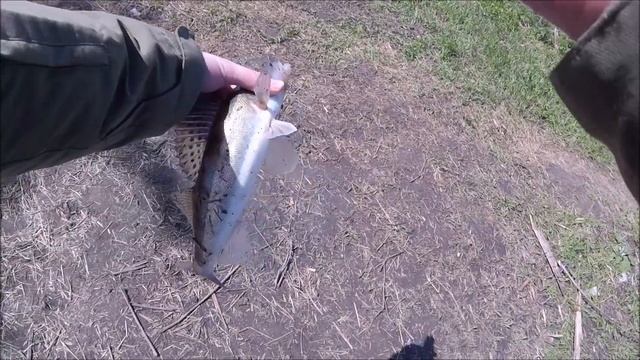 Нижняя Москва-река - Ловля на тяжелый отводной поводок