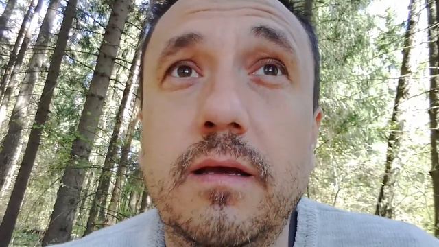 Чем человек отличается от животного смотреть онлайн