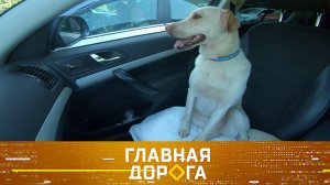 Помощь запертым в авто животным и вместимость Lada Largus | «Главная дорога»