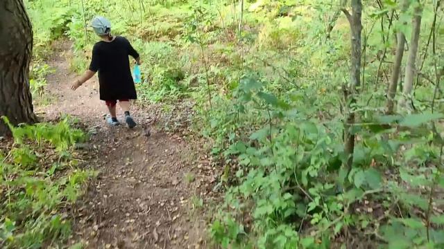 Гоночный цыпленок смотреть онлайн