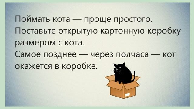 АНЕКДОТЫ ПРО КОТА СМЕШНЫЕ ?? ЮМОР ПОЗИТИВ