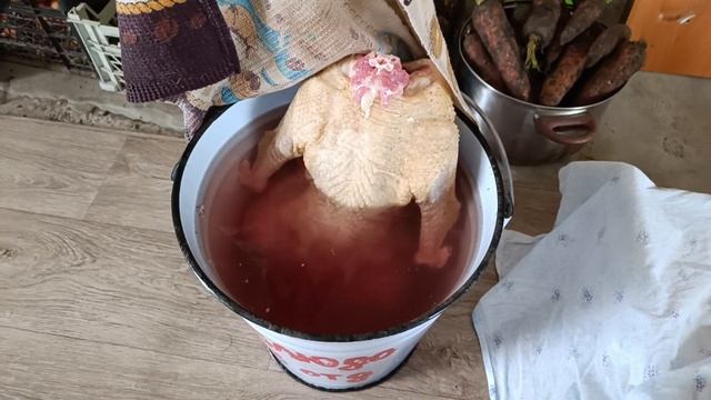 Убираем птицу?? Петухам нет места.