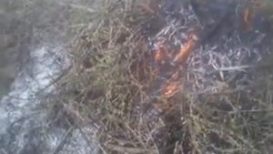 как сжечь мокрые ветки. video 2018 04 13 09 38