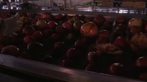 Чем уникален состав ГРАНАТОВОГО СОКА для организма мужчин и женщин?!? ВСЯ ПРАВДА!