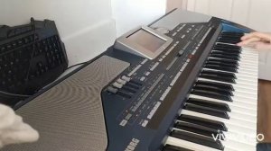 KURTLAR VADİSİ CENDERE KORG PA 800