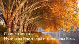 Совместимость мужчины Близнецы и женщины Весы