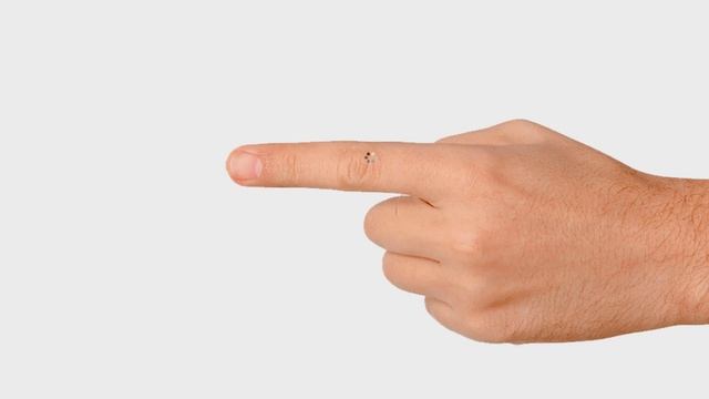 гайд как высосать контент из пальца смотреть онлайн