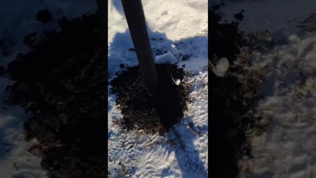 устройство свайно винтового фундамента #фундаменткаркасногодома #фундаментдлябани #винтовыесваи