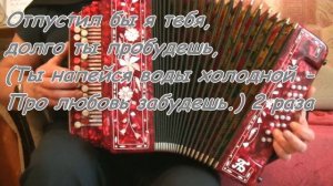 Течет речка по песочку,караоке под гармонь.