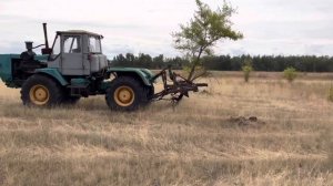 Выкорчёвка поля на тракторе т150 с самодельным приспособлением