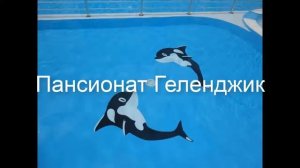 Пансионат Геленджик - уютный и недорогой семейный отель!