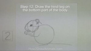 How to Draw a Chipmunk