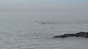 Где то на краю света