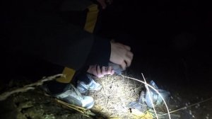 ВЕЛОПОХОД на гравийном велосипеде STINGER GRAVIX STD! Едем в ЛЕС!