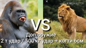 Горилла против Лев!