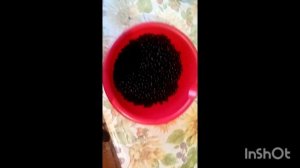 Варенье из черемухи без варки. Полный краткий процесс.