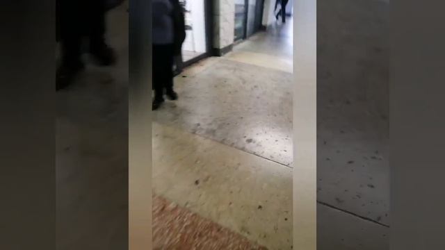 Прогулка по городам. 2 день. Воронеж. смотреть онлайн