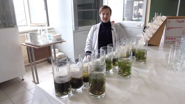 Изучение фитотоксичности органических ксенобиотиков при комплексном загрязнении ими водоемов.