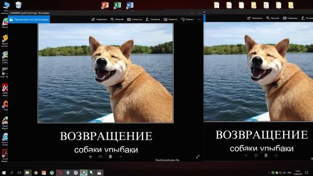 [Криптография] Стеганография смотреть онлайн