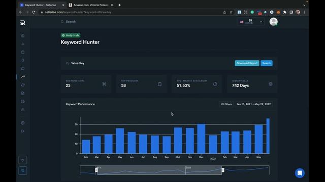 Самый подробный обзор Sellerise (Видео #1 - Обзор Keyword Hunter) смотреть онлайн