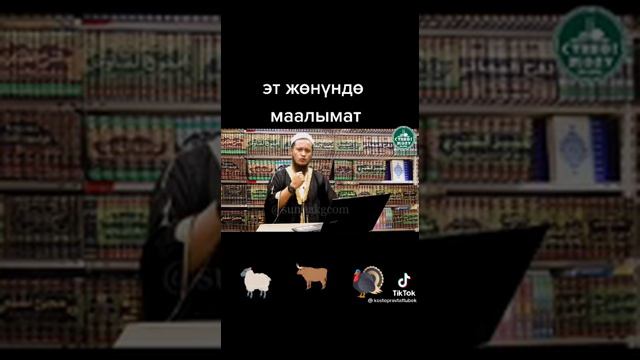 Эт Жонундо Маалымат смотреть онлайн