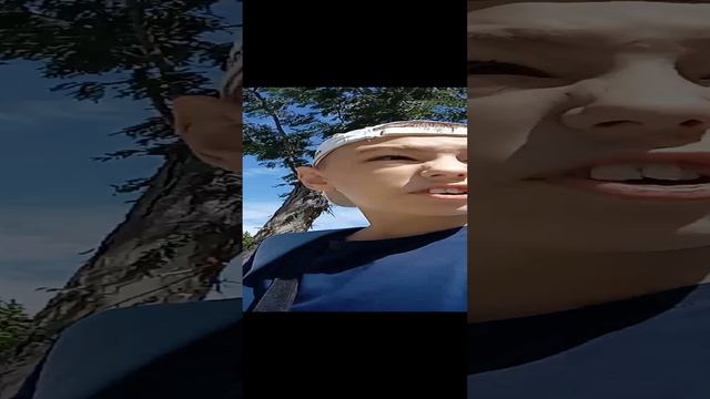 мы путешествуем