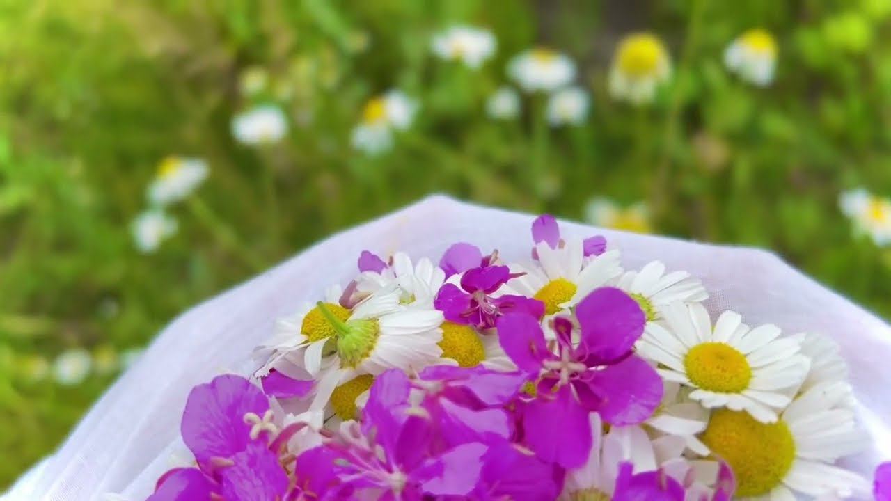 О заготовках витаминов на зиму. смотреть онлайн