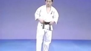 41 - Удары ногами - Маваши Гери