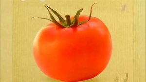 Контрольная закупка от 10 июня 2016. Вареная колбаса.