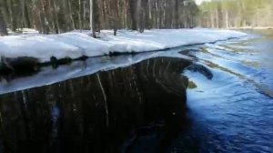 тример+сапог от стрелы, первый выход на воду