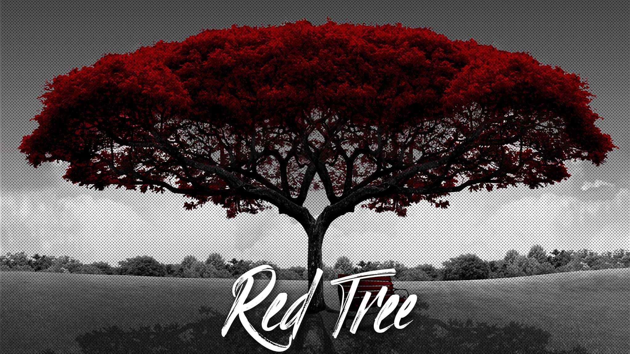 Красное дерево. Картина красное дерево. Деревья для фотошопа. Каоба красное дерево. Свой красное дерево текст