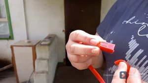 Ошейник для кошки от блох и клещей.