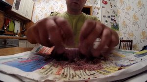 Как добавить и замешать мотыля в прикормку, не повредив его.