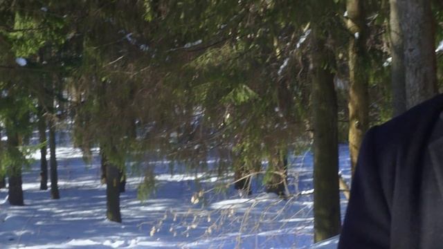 Как тепловой насос бережёт экологию смотреть онлайн