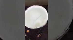 Слив воды с газгольдера после заправки некачественным газом